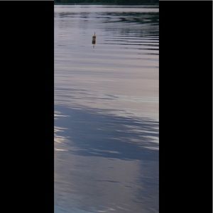 Meet your Posher, Genevieve